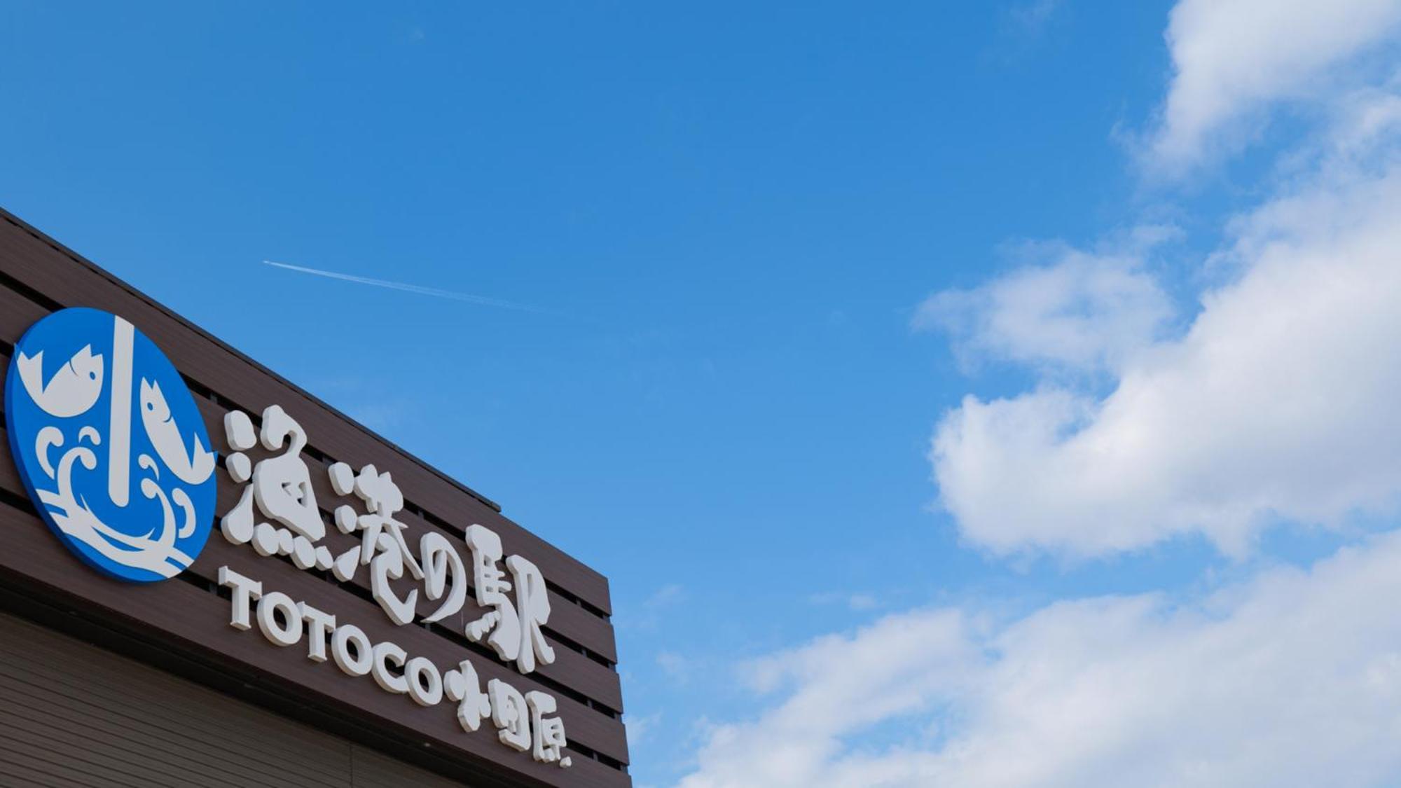 Toyoko Inn Odawara Eki Higashi Guchi Екстер'єр фото